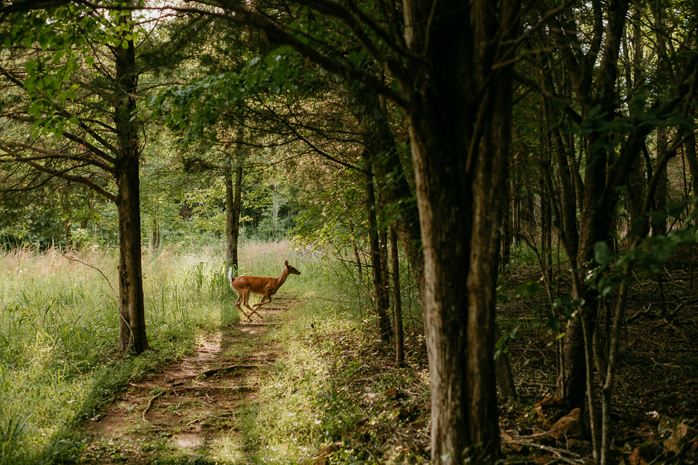 Rylan's Riches Photography | Nashville Child Photographer