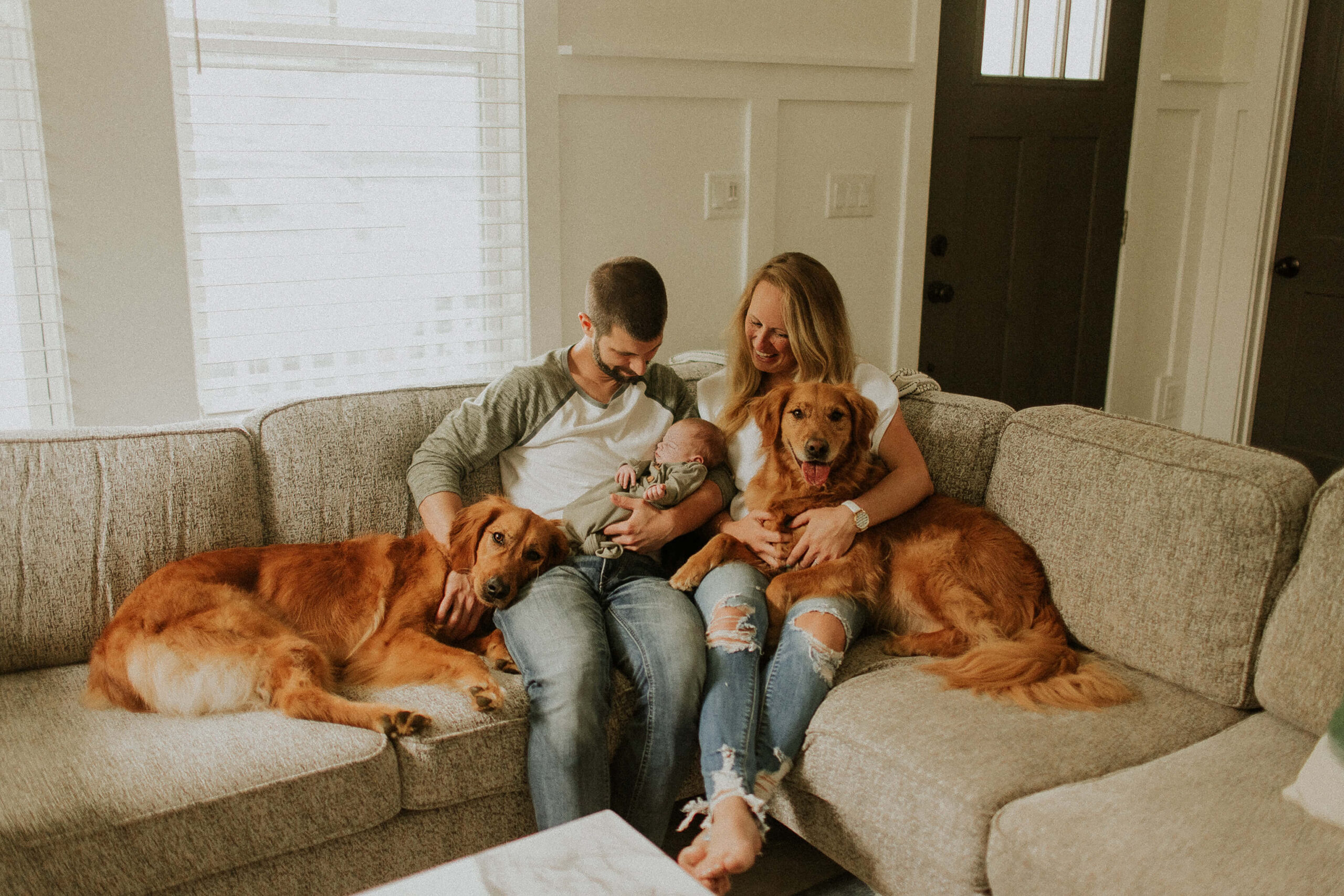 family with their newborn and dogs