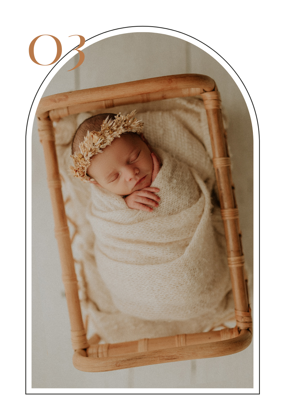 gallery of images of studio newborns