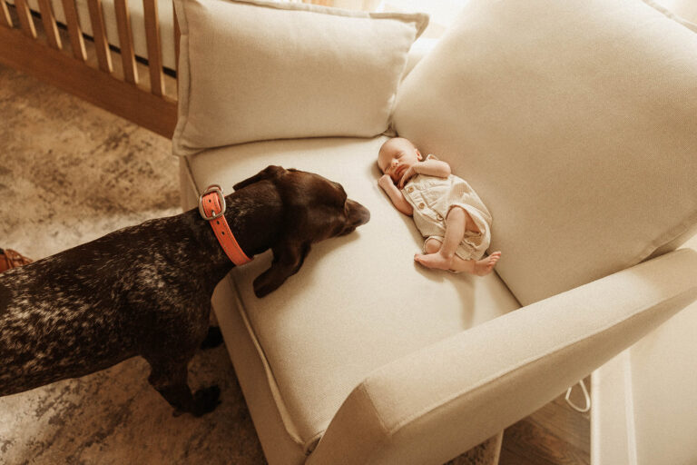 newborn in nursery in franklin tn with dog