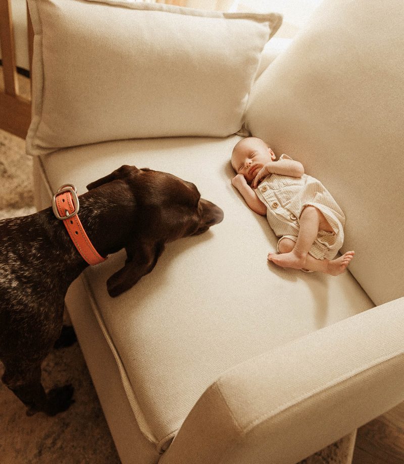 newborn in nursery in franklin tn with dog
